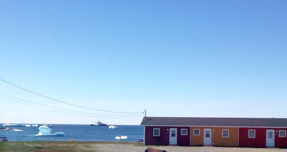 Oceanside Cabins Bonavista Kültér fotó